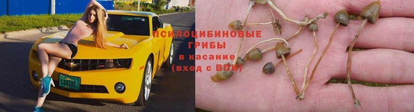 альфа пвп Бугульма